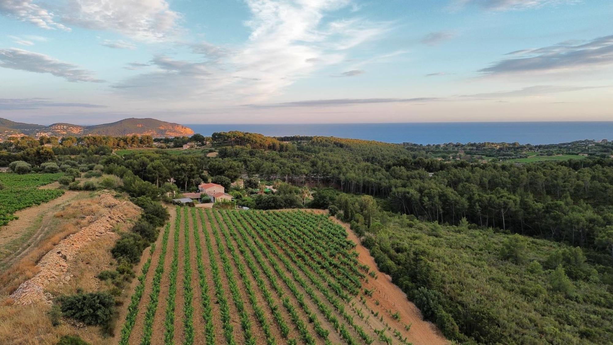 Gite Vue Mer La Cadiere-d'Azur Exterior foto