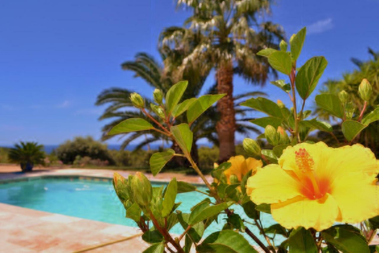 Gite Vue Mer La Cadiere-d'Azur Exterior foto