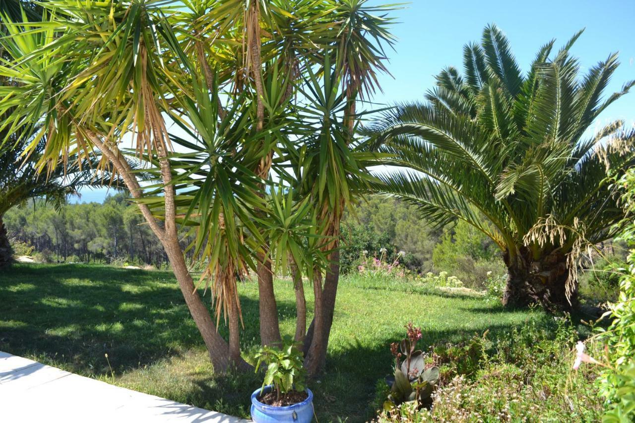 Gite Vue Mer La Cadiere-d'Azur Exterior foto